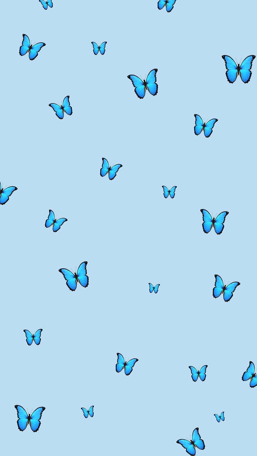 Niebieski motyl Tapeta na telefon HD