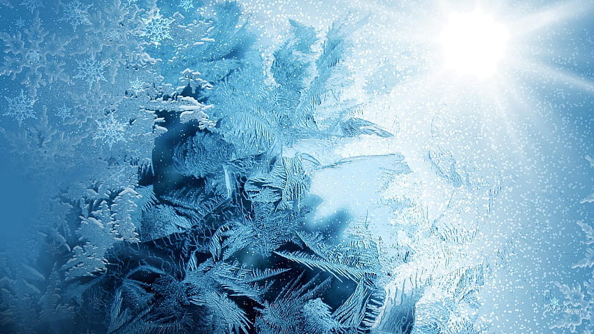 Jack Frost Patterns HD wallpaper