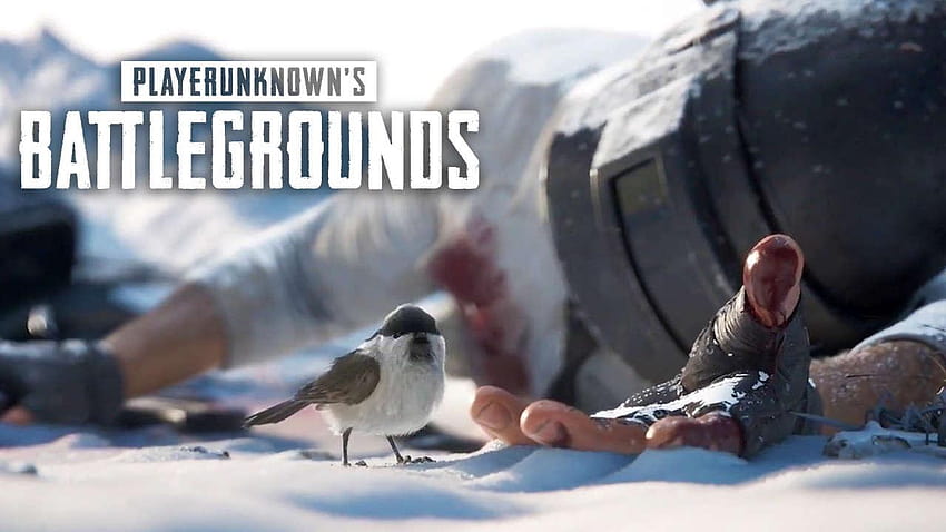 PUBG's Vikendi snow map to be released on 20 December 2018, pubg snow map HD wallpaper