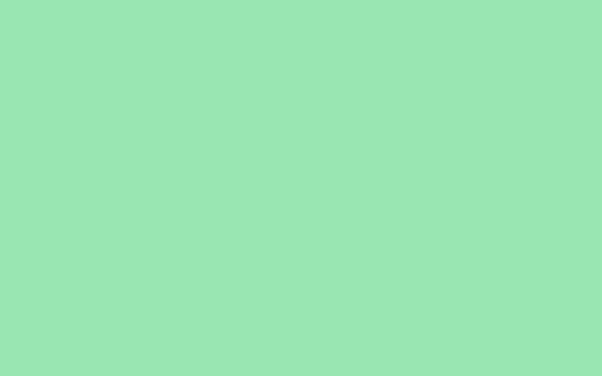 Sfondi di colore solido Teal Deer, verde acqua Sfondo HD