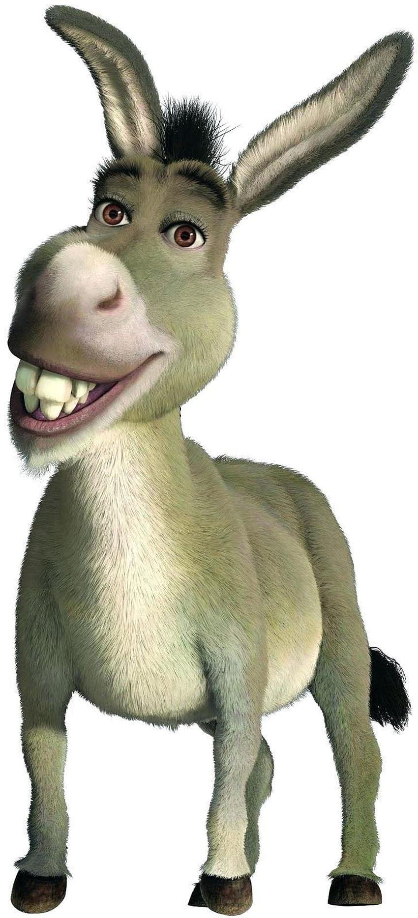 Cetak Sematkan Ekor Pada Donkey Shrek wallpaper ponsel HD