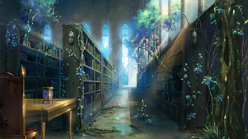HD fantasy library wallpapers  Peakpx