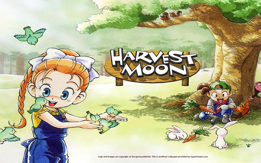 Stardew Valley vs Harvest Moon A Match Made in, made in heaven HD wallpaper