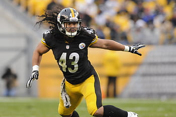 2114 Troy Polamalu Photos  High Res Pictures  Getty Images