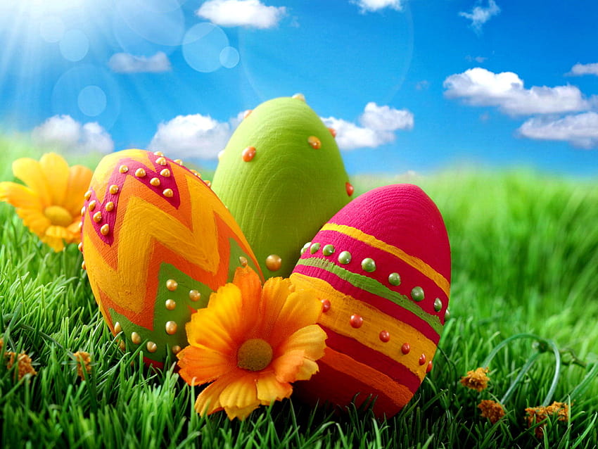 Happy Easter on Dog HD wallpaper | Pxfuel