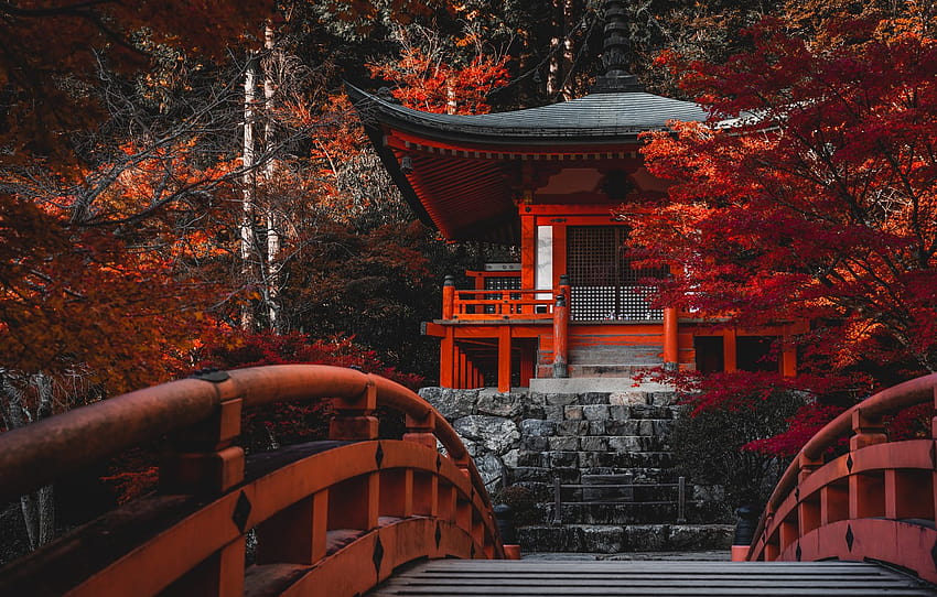 autumn, trees, bridge, Japan, temple, Japan, Kyoto, Kyoto, Bentendo Hall, The temple Daigo, autumn kyoto HD wallpaper