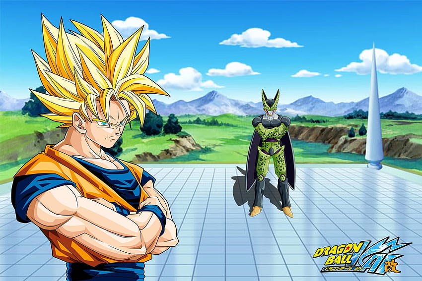 Cell Vs Son Goku, goku vs cell HD wallpaper
