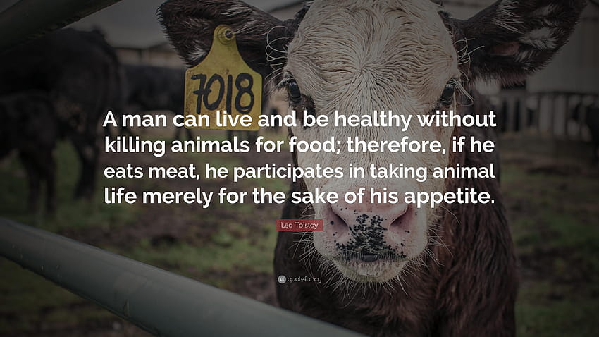 Citazione di Leo Tolstoy: “Un uomo può vivere ed essere sano senza cibo per animali Sfondo HD
