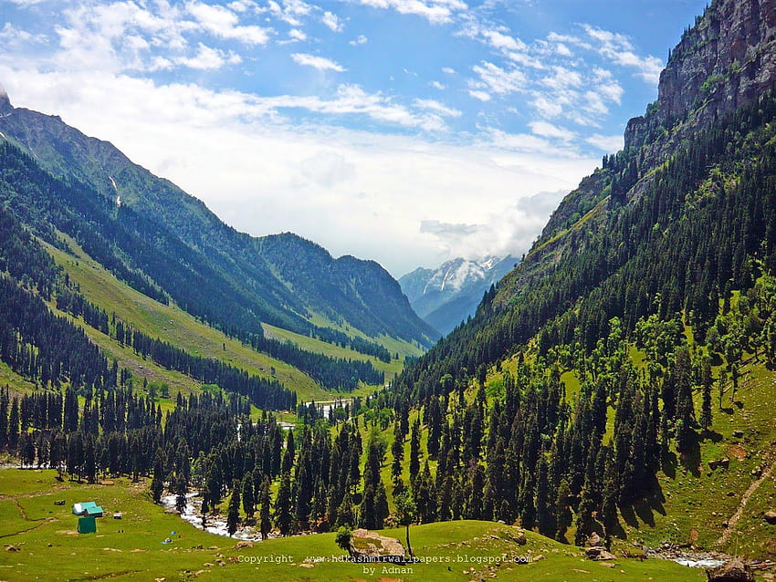 Valley of Lidderwat in Aru Pahalgam Kashmir, aru valley HD wallpaper