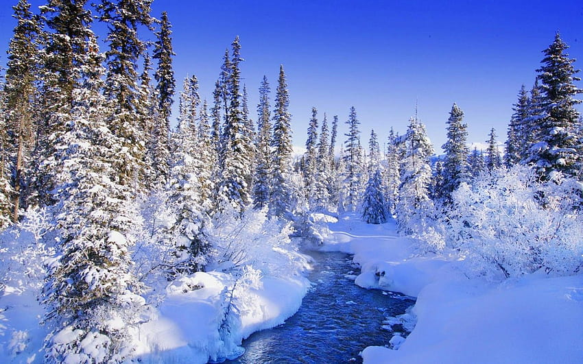 Эстетика зимы HD-Hintergrundbild