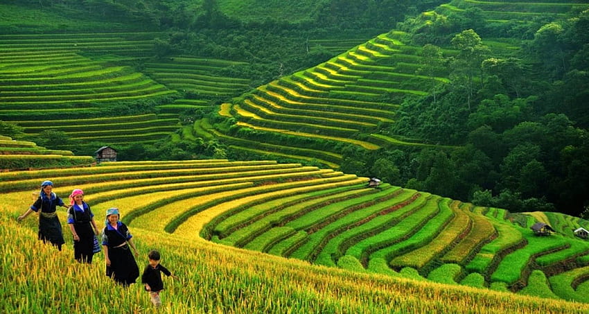 Vietnam and Thailand Deluxe Tour 14 Days, sapa HD wallpaper