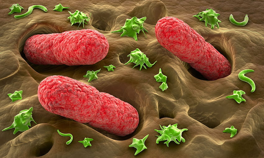 6 แบคทีเรีย จุลินทรีย์ วอลล์เปเปอร์ HD