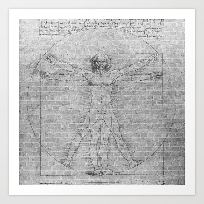 Pintura de pared de ladrillo Leonardo da Vinci Estudio del hombre de Vitruvio Lámina de UrbanArtist fondo de pantalla del teléfono