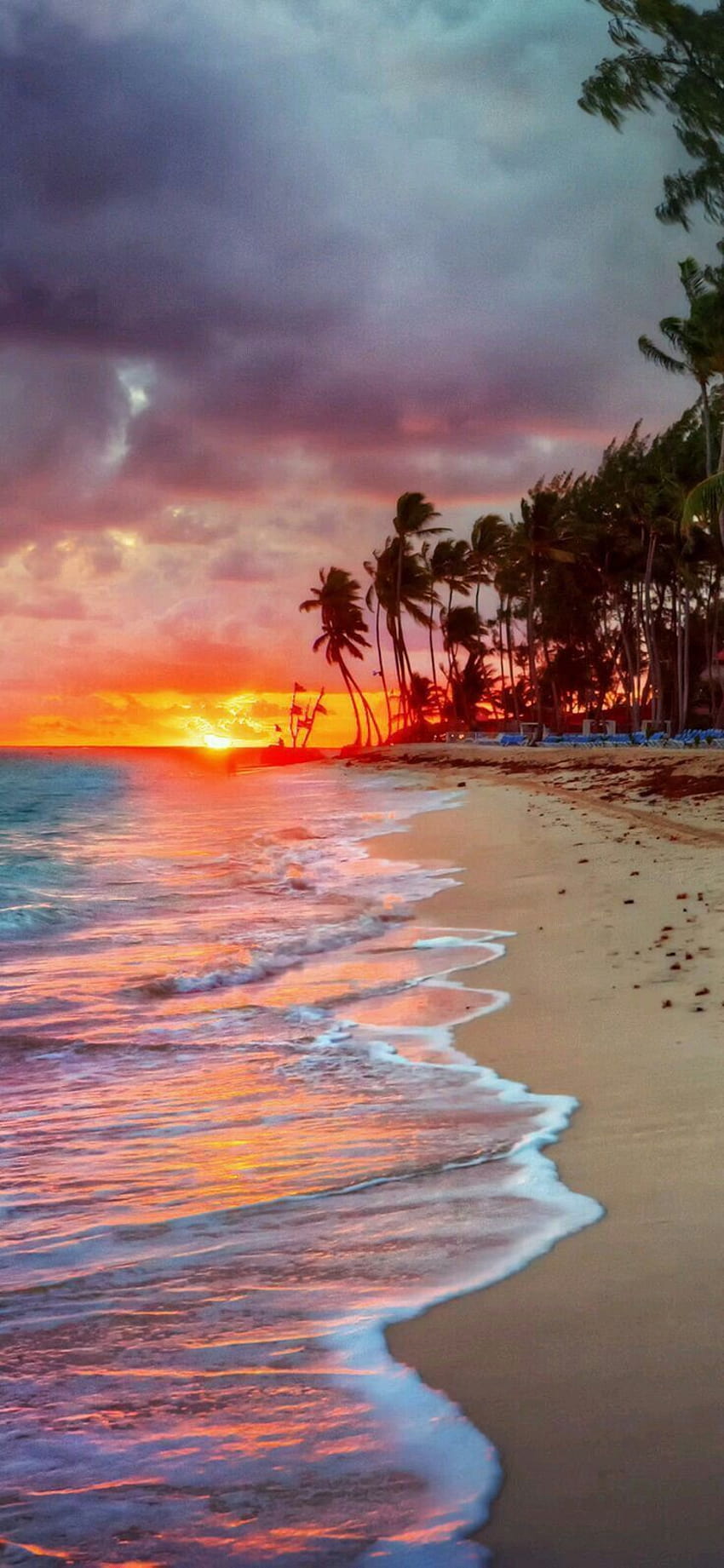 美しいビーチ ... Pinterest, 風景 ビーチの美学 HD電話の壁紙