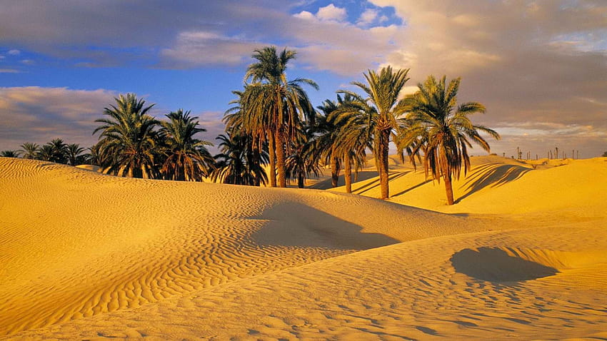 3 Registan, deserto arabo Sfondo HD