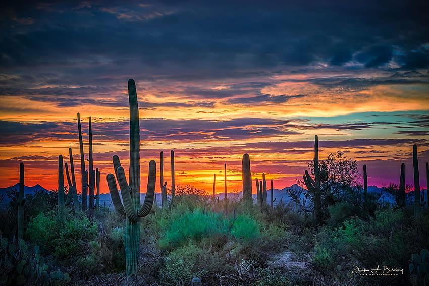 Phoenix Arizona Desert Iphone posted by Samantha Tremblay HD wallpaper ...