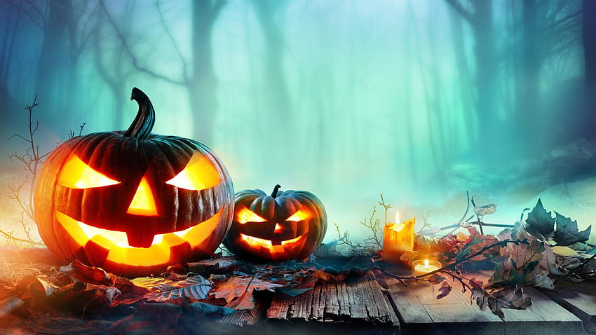 Pumpkin, Cucurbita, Heat, Halloween, Jack o Lantern Full, halloween pumpkin HD wallpaper