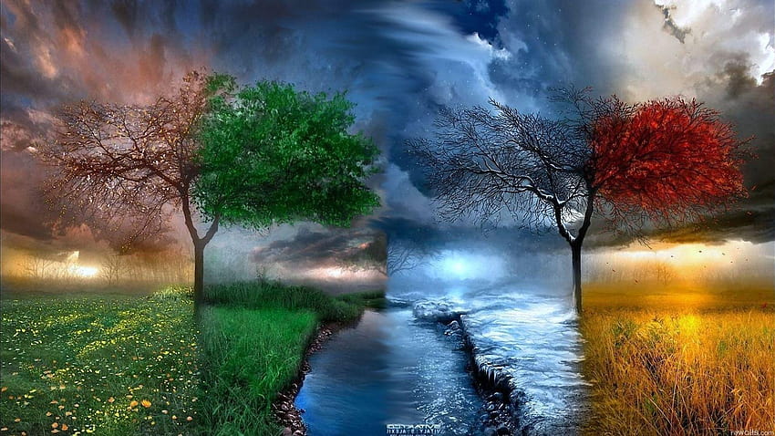 5 Four Seasons, all seasons HD wallpaper