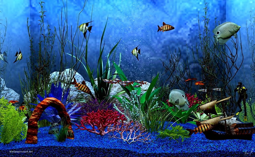 Lovely Animated Aquarium for Windows HD wallpaper
