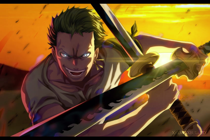 1920x1080 One Piece Zoro, one piece aesthetic HD wallpaper | Pxfuel