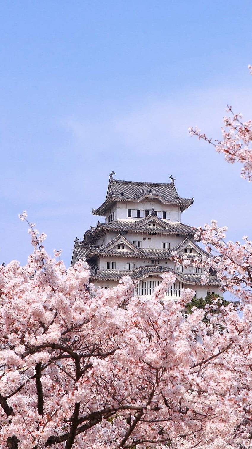 Japan Himeji Castle / iPad Backgrounds, mobile phone japan castle fuji HD phone wallpaper