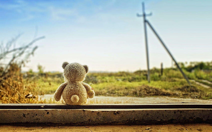 of sad teddy bear lost & lonely feeling after love break, tiny teddy bear HD wallpaper