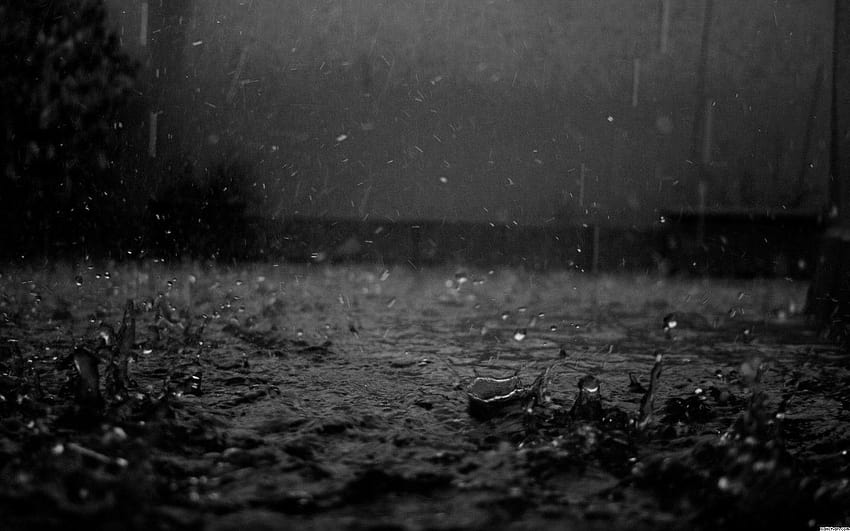 Krople deszczu na ziarnach kawy Panoramiczny ciemny Deszcz, deszcz w nocy Tapeta HD