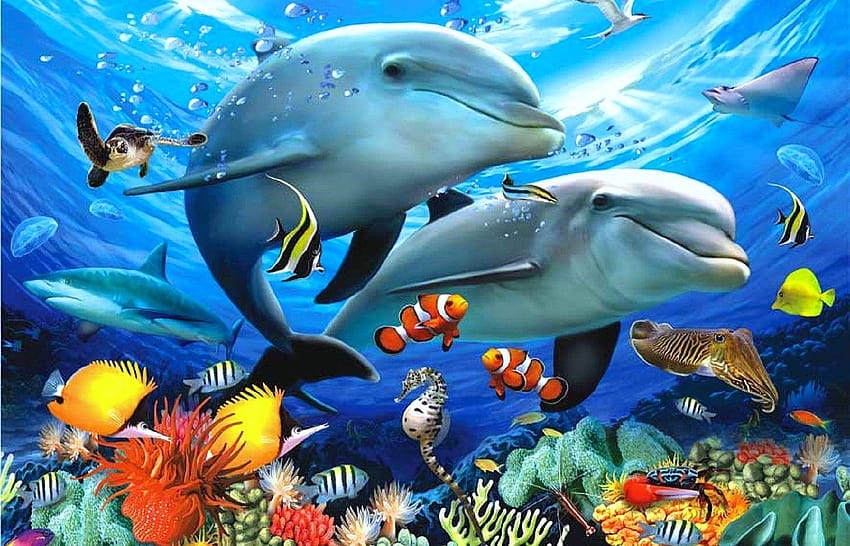 Oceans: Life Animals Beneath Attractions Four Seasons Underwater, aquatic animals HD wallpaper