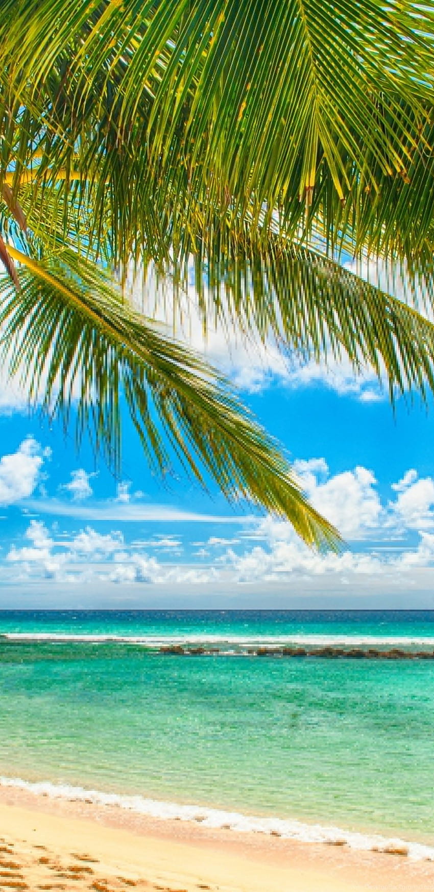 Paradise Sea Summer Ocean Beach Tropical Palms Sunshine ... s, verano samsung fondo de pantalla del teléfono