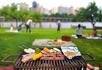 126,000+ Picnic Pictures