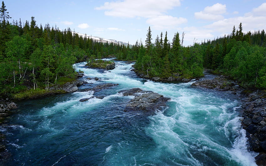 musim semi, sungai pegunungan, Norwegia, hutan, sungai, pepohonan hijau dengan resolusi 2560x1600. Kualitas tinggi, musim semi norwegia Wallpaper HD