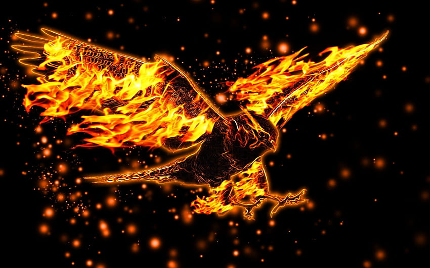 Águila de fuego, alas de águila fondo de pantalla | Pxfuel