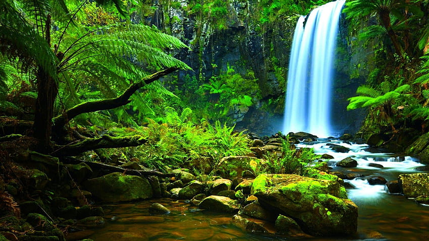 Amazon Rainforest Waterfall HD wallpaper