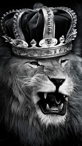 Iphone Lion, King, Crown, lion iphone HD phone wallpaper | Pxfuel