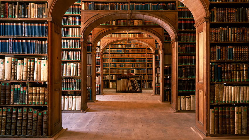 15 Wonderful Library, library aesthetic HD wallpaper