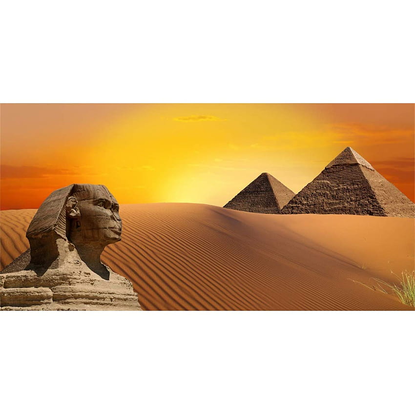 LFEEY 15x8ft Pyramid Sphinx Backdrop Ancient Egyptian Civilization Architecture graphy Backgrounds Pharaoh History Egypt Culture Africa Travel Shoot Studio Props Video Drop Vinyl : Amazon.in: Electronics HD wallpaper