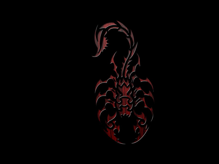 Scorpion Abstract Android Bhstormcom [1600x1200] für Ihr , Handy & Tablet, schwarzer Skorpion HD-Hintergrundbild