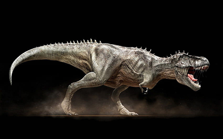 Allosaurus vs Tyrannosaurus HD wallpaper