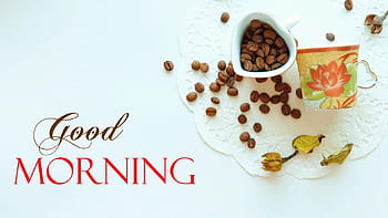 Rose Good Morning Group, good morning rose HD wallpaper | Pxfuel