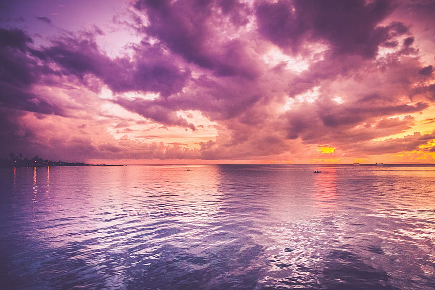 ทะเลสีม่วงสวยงามและขอบฟ้าสีชมพู พระอาทิตย์ขึ้น ธรรมชาติ พื้นหลัง และพระอาทิตย์ขึ้นสีม่วงเย็น วอลล์เปเปอร์ HD