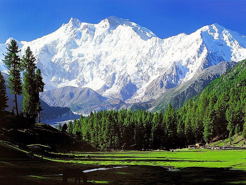 100+ Free Manali & Himachal Pradesh Images - Pixabay