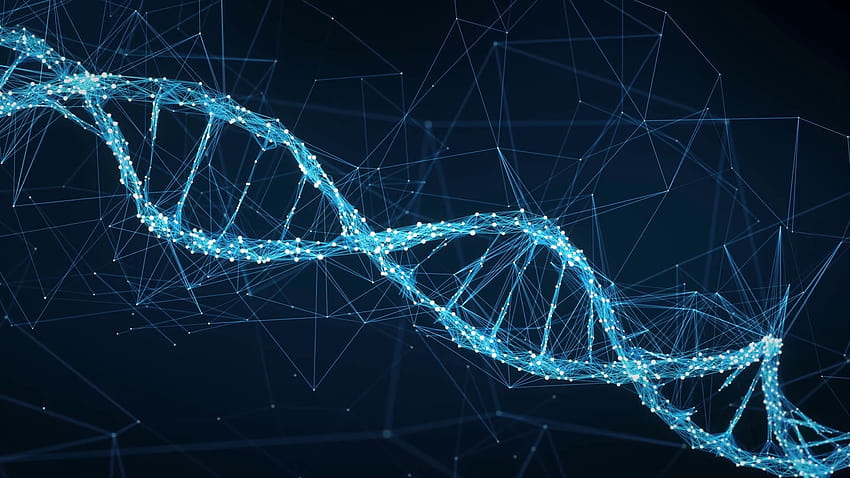 22 ADN, ADN colorido fondo de pantalla | Pxfuel