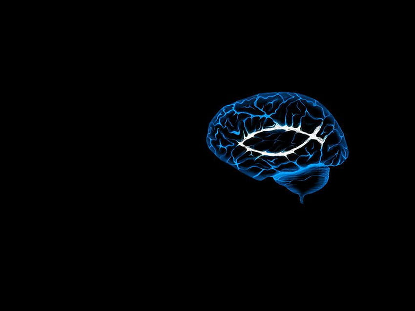 Migliori 5 Brain on Hip, grande cervello Sfondo HD