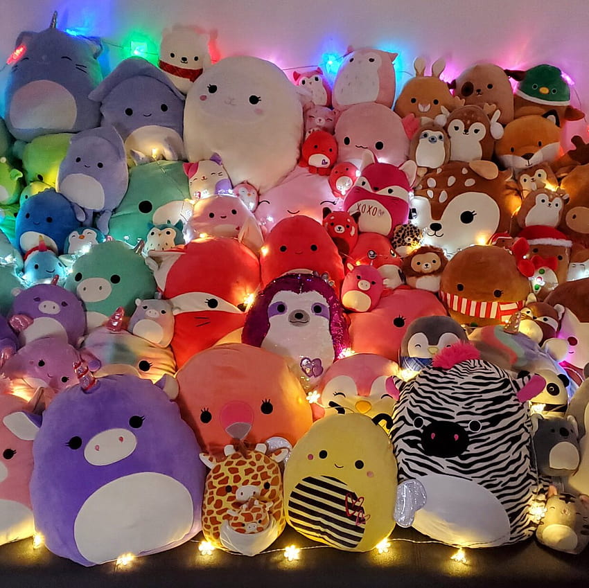 Squishmallows Are Taking Over HD wallpaper