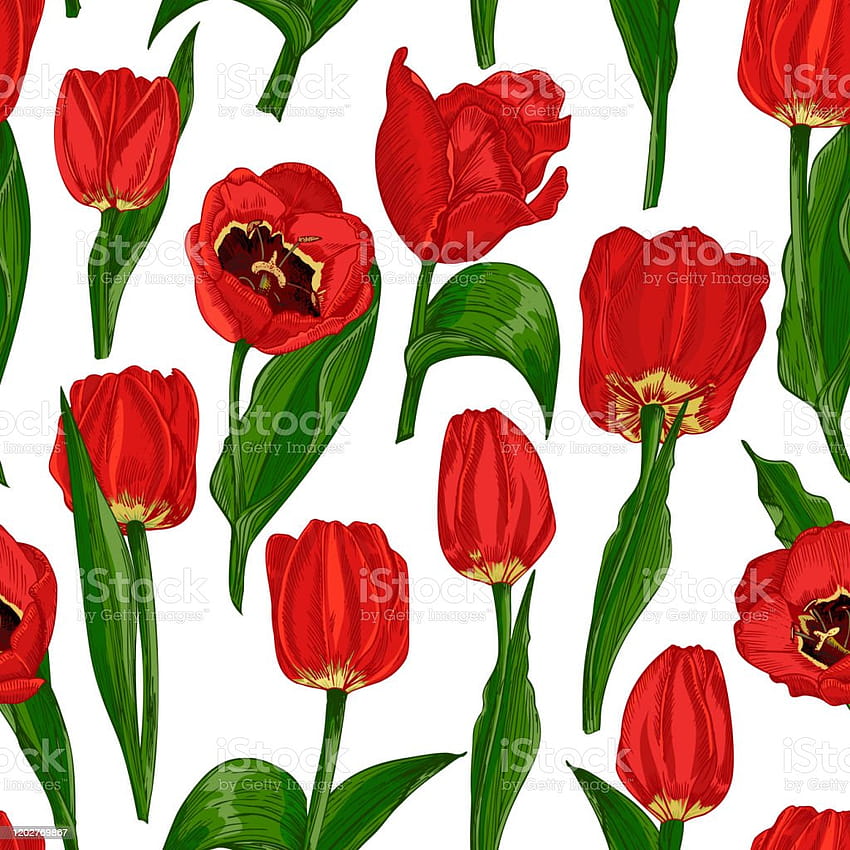 Greeting Seamless Backgrounds With Spring Flower Tulips In Red And Green Colors Horizontal Seamless Pattern Stock Illustration HD phone wallpaper