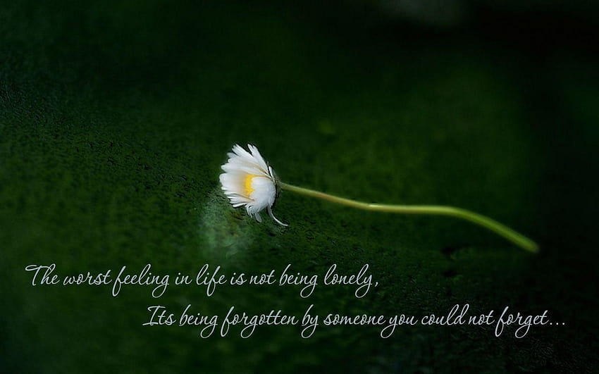 Quotes Lonely, loneliness with quotes HD wallpaper