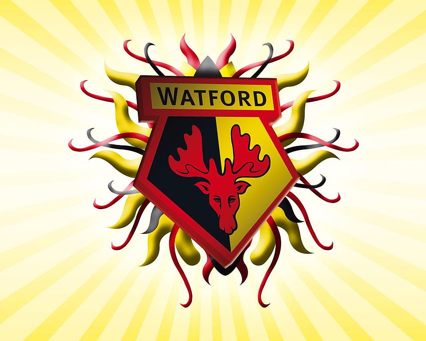 Watford fc HD wallpaper Pxfuel