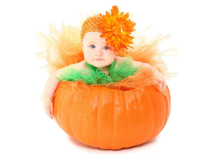 Baby Cute Orange Flower Pumpkin, cute baby halloween HD wallpaper