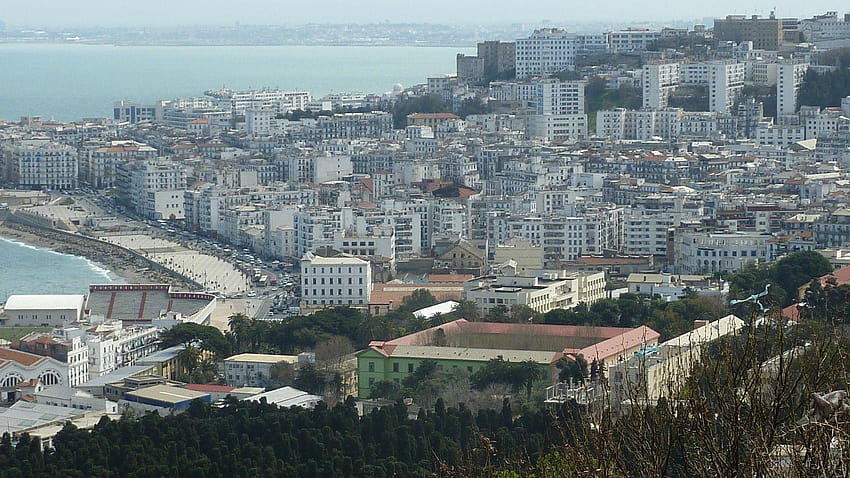 Http://www.traveltop/blida, algiers HD wallpaper | Pxfuel