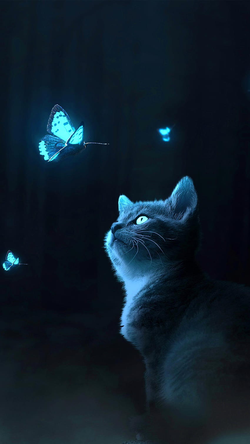 Schmetterlings-Katze iPhone Und, Katzenschmetterling HD-Handy-Hintergrundbild